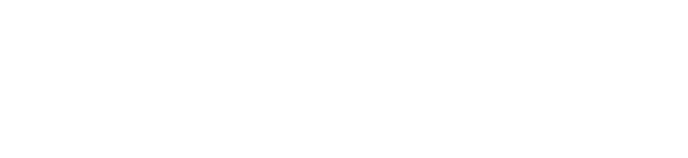 LEAD-Projekt